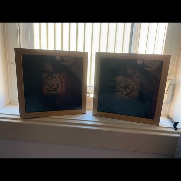 Golden Rose Decorative Art - Picture 2 of 2